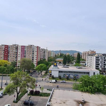 Sunlight Apartment Free Parking 布达佩斯 外观 照片
